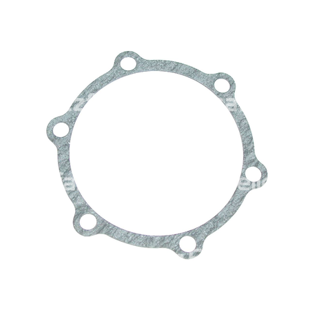 Dichtung für Wasserpumpe N23000781